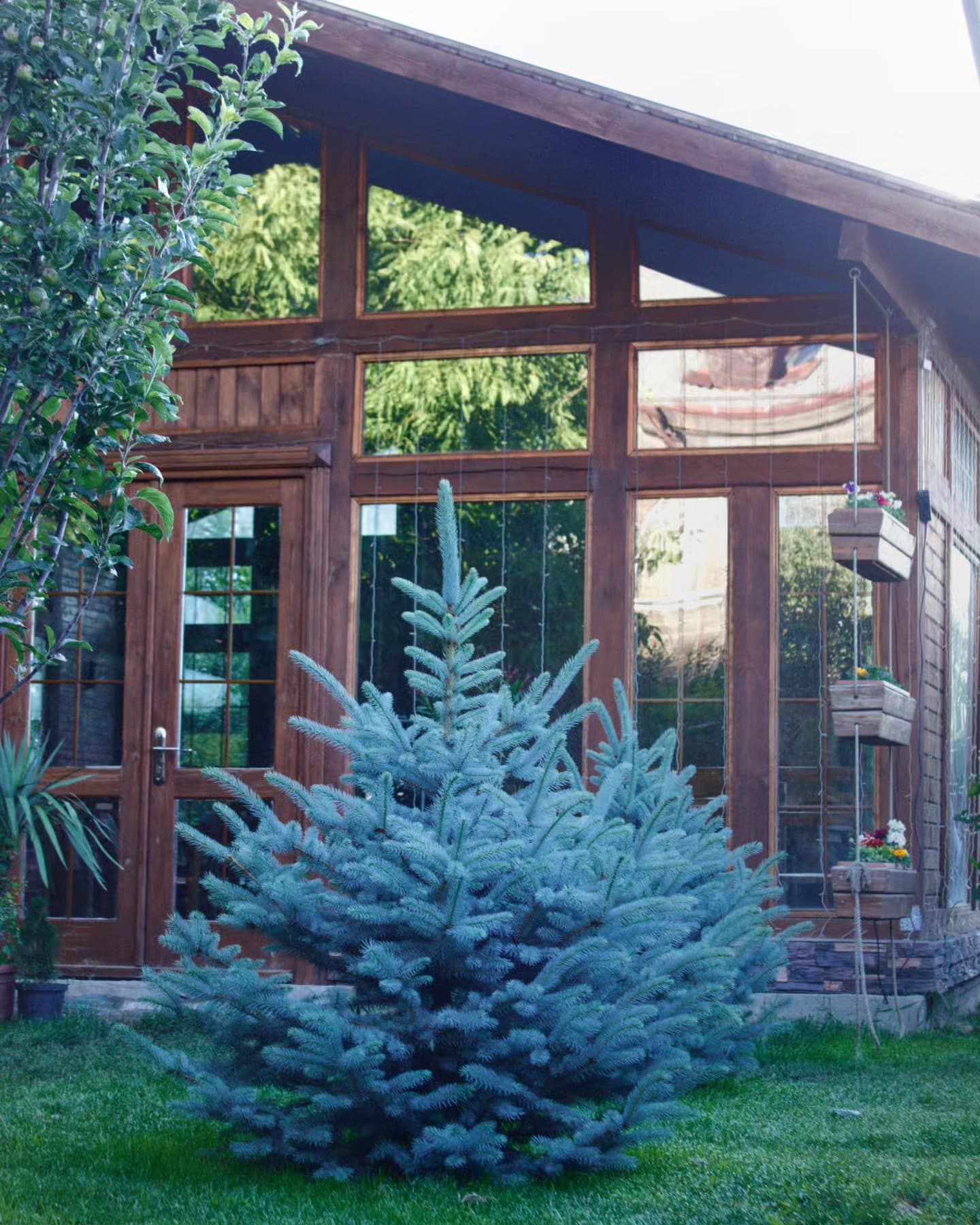 GreenGyumri — բաց տաղավար, երեկոյան Գյումրի